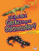 Can You Tell a Gecko from a Salamander?