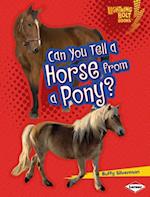 Can You Tell a Horse from a Pony?