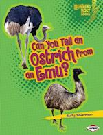 Can You Tell an Ostrich from an Emu?