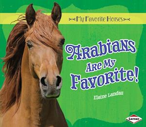 Arabians Are My Favorite!