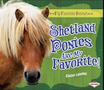 Shetland Ponies Are My Favorite!