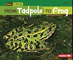 From Tadpole to Frog