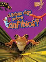 ¿sabes Algo Sobre Anfibios? (Do You Know about Amphibians?)