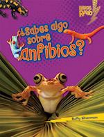 ¿Sabes algo sobre anfibios? (Do You Know about Amphibians?)