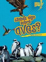 ¿sabes Algo Sobre Aves? (Do You Know about Birds?)