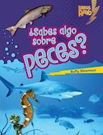 ¿Sabes algo sobre peces? (Do You Know about Fish?)