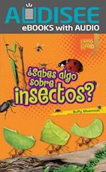 ¿sabes Algo Sobre Insectos? (Do You Know about Insects?)