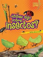 ¿Sabes algo sobre insectos? (Do You Know about Insects?)