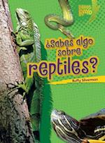 ¿sabes Algo Sobre Reptiles? (Do You Know about Reptiles?)