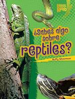 ¿Sabes algo sobre reptiles? (Do You Know about Reptiles?)