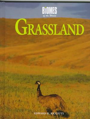 Grassland