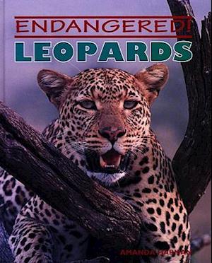 Leopards