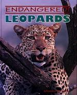 Leopards