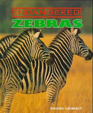 Zebras