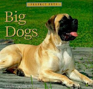 Big Dogs