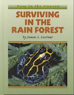 Surviving in the Rain Forest