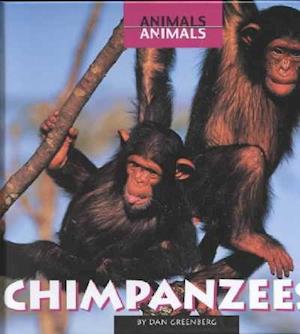 Chimpanzees