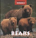 Bears