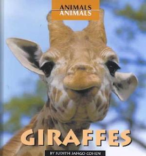 Giraffes