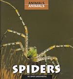 Spiders