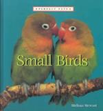 Small Birds