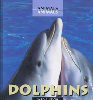 Dolphins