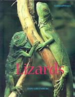 Lizards