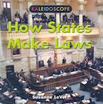 How States Make Laws