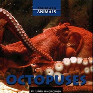 Octopuses