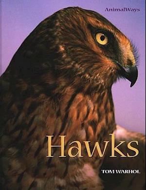 Hawks