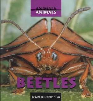 Beetles