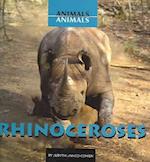 Rhinoceroses