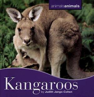 Kangaroos