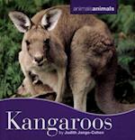 Kangaroos