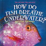 How Do Fish Breathe Underwater?