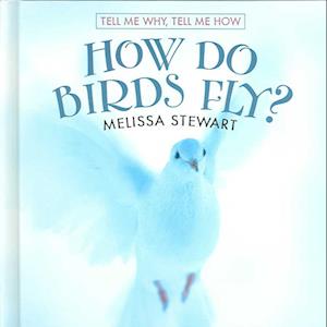 How Do Birds Fly?