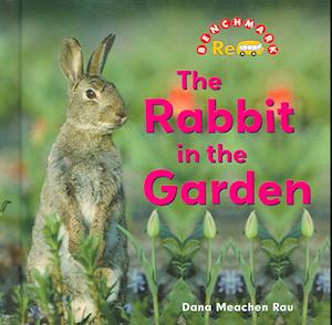 The Rabbit in the Garden