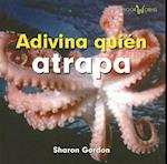 Adivina Quien Atrapa = Guess Who Grabs