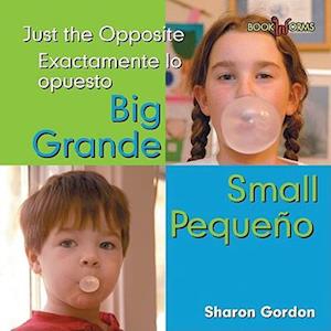 Grande, Pequeno / Big, Small