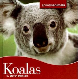 Koalas