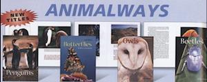 Animal Ways (Group 6)