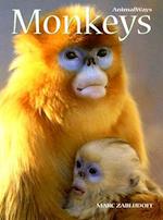 Monkeys