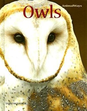 Owls