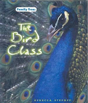 The Bird Class