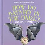 How Do Bats Fly in the Dark?