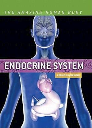 Endocrine System