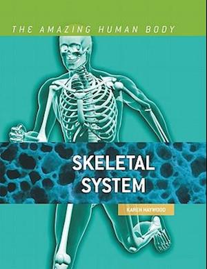 Skeletal System