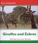 Giraffes and Zebras