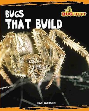 Bugs That Build