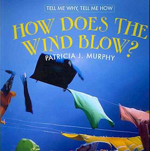 How Does the Wind Blow?